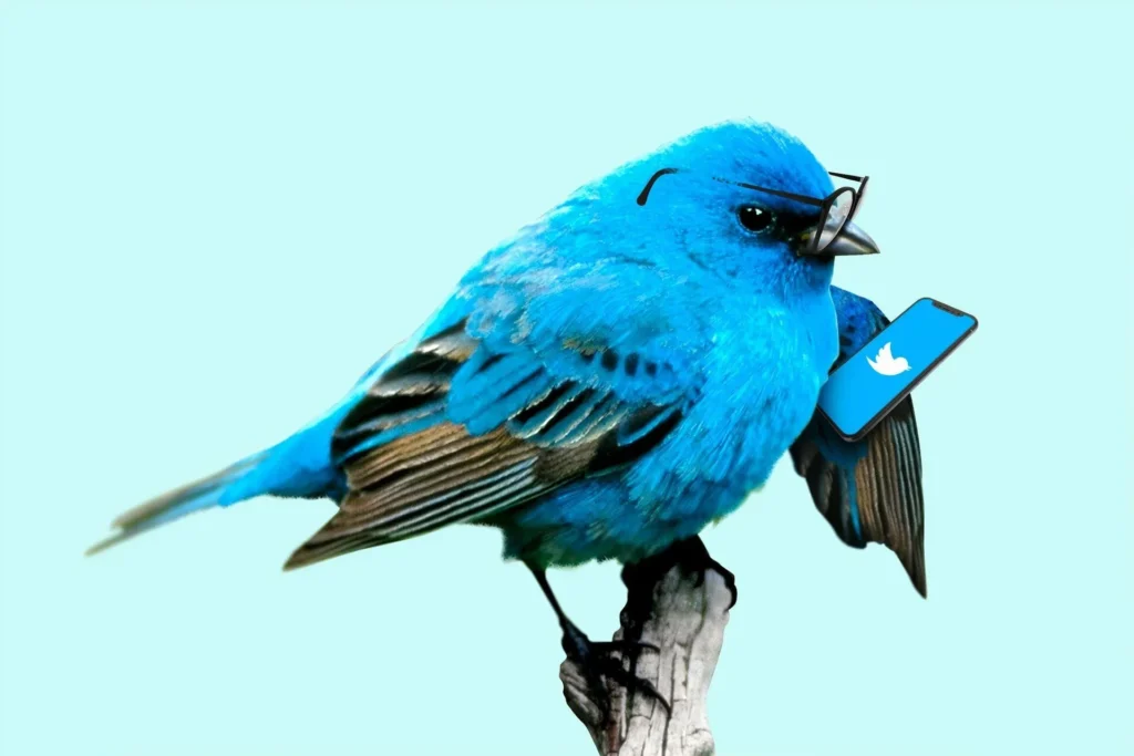 This Tweet is unavailable – How to Fix?