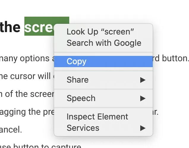 how to copy paste on a mac