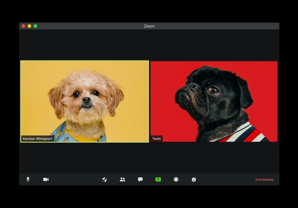 Social Video
