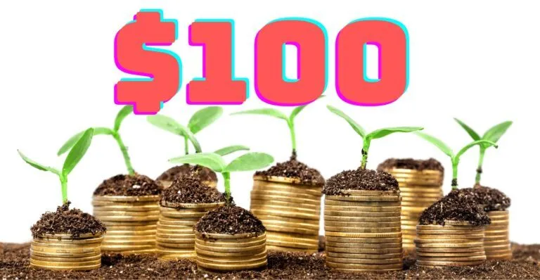 Easy Ways To Make Quick Money With Only $100