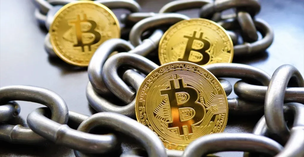 Primexbt’s Asset Update Revealed Take A Look At The New Altcoins
