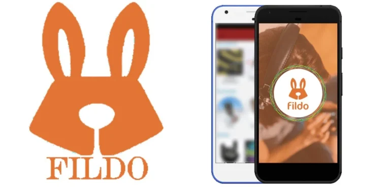 fildo for pc