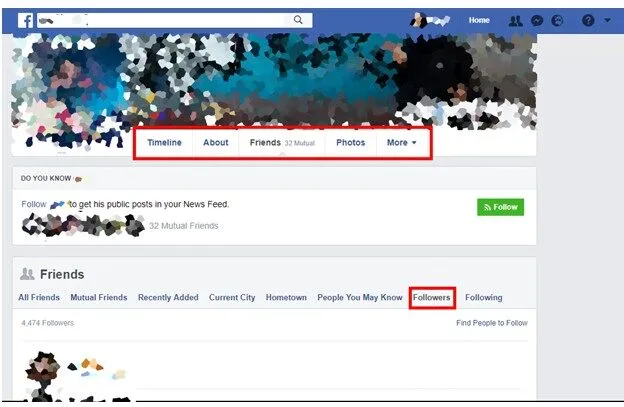 Who Follows You on Facebook