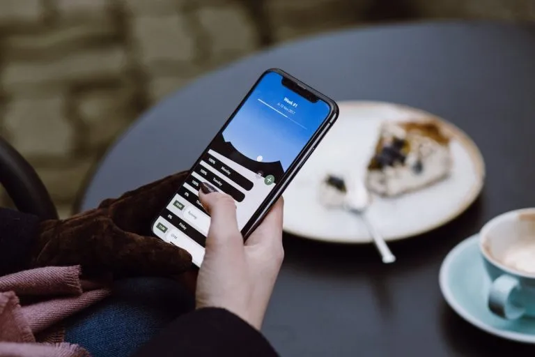 Where is it better to grow as an influencer: Instagram or TikTok?