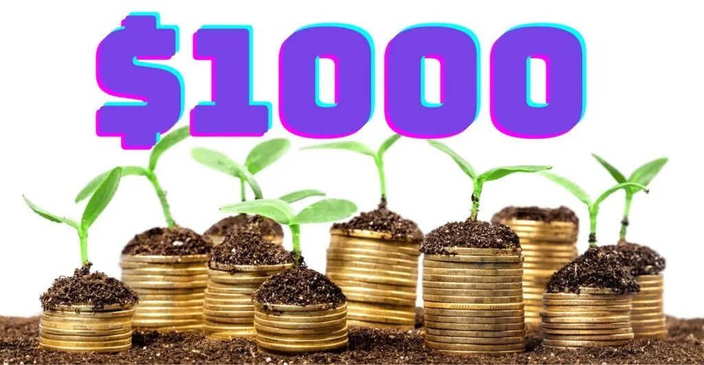 Quick Ways To Make Money Investing $1,000