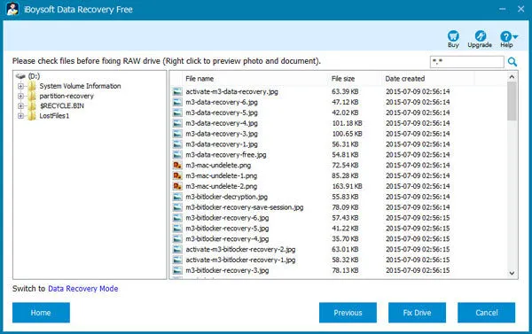 Check the found files in RAW drive