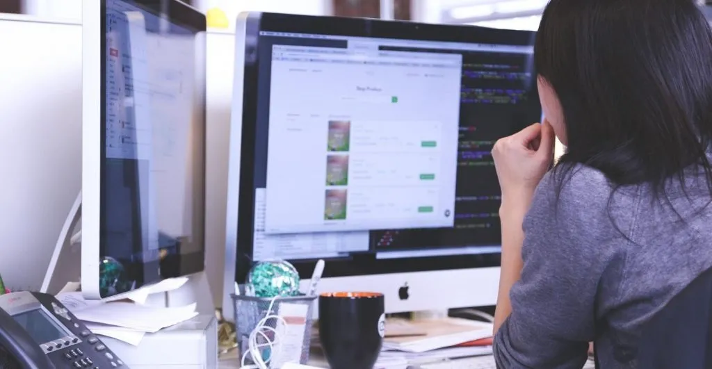 Who Is A Software Engineer
