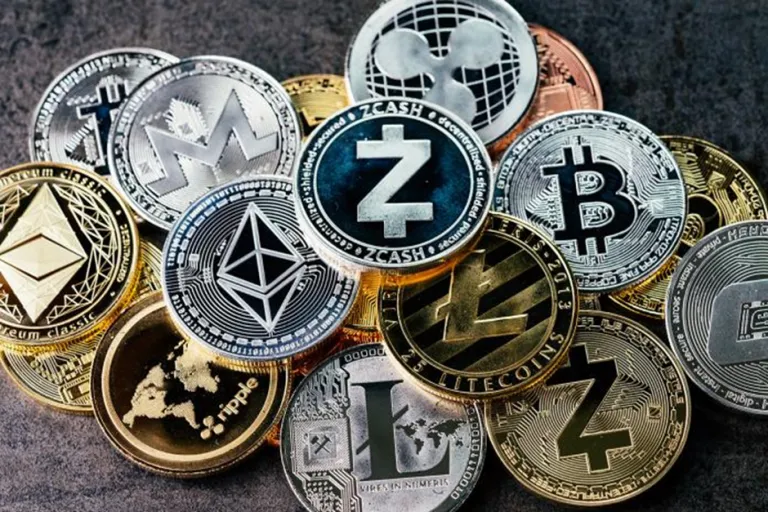 How to Choose Crypto Hosting for a Beginner