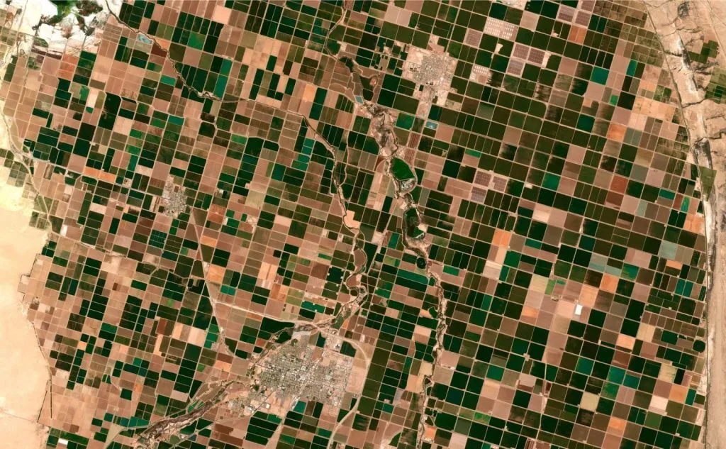 Crop Monitoring Review: IT Companies Getting Use of Satellite Imagery