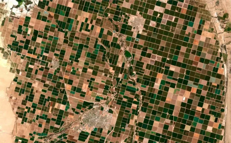 Crop Monitoring Review: IT Companies Getting Use of Satellite Imagery