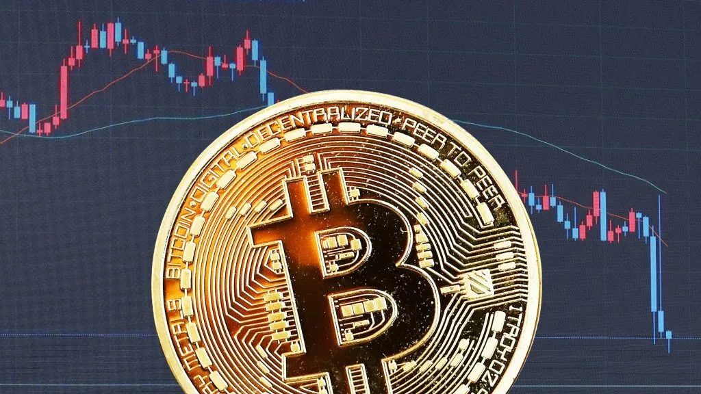Hodl Bitcoin With A StormGain Wallet